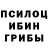Галлюциногенные грибы прущие грибы Rinatone Achmetov